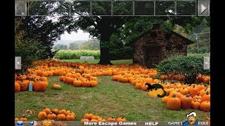 Save The Pumpkin Man Walkthrough [Games2Rule]