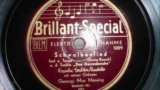 Das Schwalbenlied
