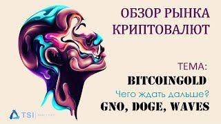 BitcoinGold — чего ждать в дальнейшем? GNO, Doge, Waves | Обзор TSI Analytics