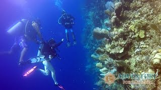 Discover Scuba in Roatan Honduras