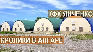 Содержание кроликов в ангаре. Кроликоферма Сергея Янченко. Кабардино-Балкария.