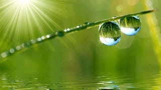 Meditación Guiada Raja Yoga: "De lo corriente a lo excelente" - Brahma Kumaris - Elizabeth Gayán