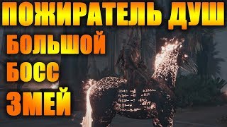 ЗМЕЙ - ПОЖИРАТЕЛЬ ДУШ и мой Призрачный Конь в  Assassin’s Creed Origins