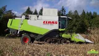 Mais dorsen met een Claas lexion 560