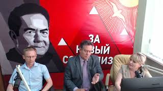 Критика прямой линии с Путиным. Николай Платошкин. 2019