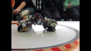 Самая жаркая схватка Lego сумо