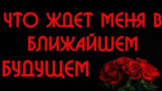 ЧТО ЖДЕТ МЕНЯ В БЛИЖАЙШЕМ БУДУЩЕМ. 5 вариантов. ОН ЛАЙН ГАДАНИЕ НА КАРТАХ ТАРО