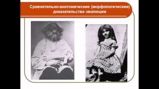 Доказательства Эволюции по Дарвину