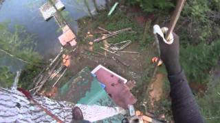 Forty-three Minute Fir