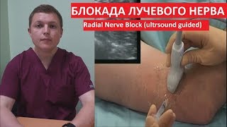 Блокада лучевого нерва | УЗИ контроль | Radial Nerve Block (ultrsound guided)