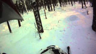 Снегоход lynx Yeti pro 550  в лесу