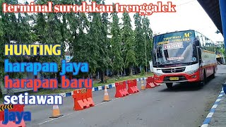 Hunting aktivitas di pintu masuk terminal  trenggalek # harapan jaya # harapan baru  # setiawan