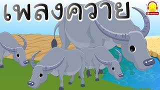 เพลงควาย Buffalo song ? รวมเพลงสัตว์ใหญ่ ช้าง ม้า หมู หมี | เพลงเด็ก indysong kids