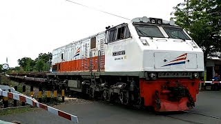 Jauh-Jauh Dari Comal (Daop 4 Semarang) Ke Probolinggo (Daop 9 Jember) Cuma Kirim Rel