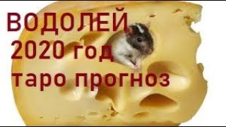 водолей 2020 год таро прогноз