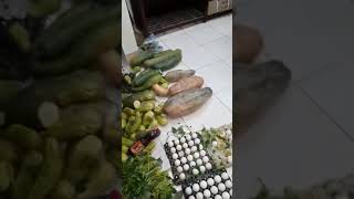 Hoảng hồn thực phẩm bẩn tuồn vào Trường tiểu học Lý Nhân Vĩnh Tường quê em
