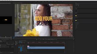 Добавление анимационного текста Adobe Premiere (22 пресета)