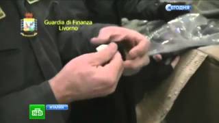 Писк сезона  китайцы шили в Италии пальто из крыс