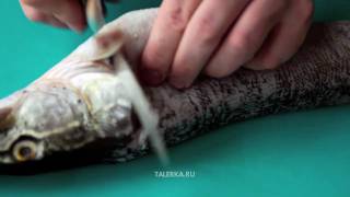 Котлеты из щуки (Галкi з щупака)