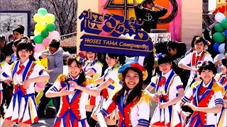 恋するフォーチュンクッキー  法政大学多摩キャンパスVer.