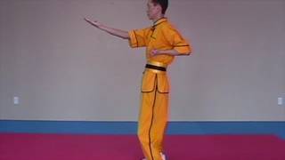 Wing Chun: Lesson 5