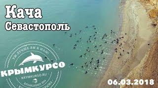 Кача (район Севастополя), 06 марта 2018