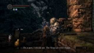 Dark Souls Prepare To Die Edition Cheats Trainer