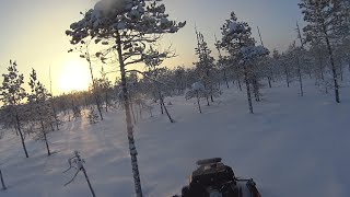 Выезд в лес на мотобуксировщике в поисках боровой дичи