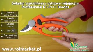 Czym przycinacz krzewy i drzewka? Sekator ogrodniczy Professional KT-P111 Bradas | Rolmarket.pl