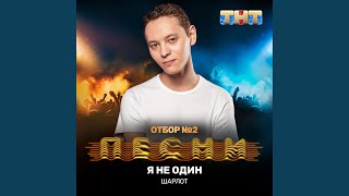 Я не один