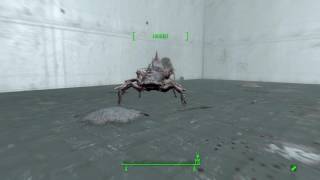 Fallout 4 - Albino Mirelurk Hunter Vs Glowing Yao Guai