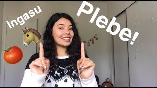Diccionario De un Sinaloense!?