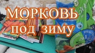 Посадка моркови под зиму. (27.11.2016 г.)
