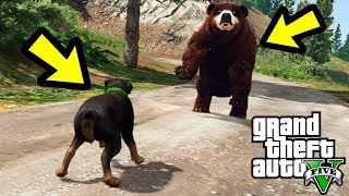 ЧОП ПРОТИВ МЕДВЕДЯ! КТО ПОБЕДИТ?! (GTA 5)