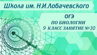 ОГЭ по биологии 9 класс.  Занятие 30. Царство животные. Подцарство многоклеточные. Тип хордовые.