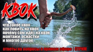 Ловля сома на квок | ответы на ваши вопросы