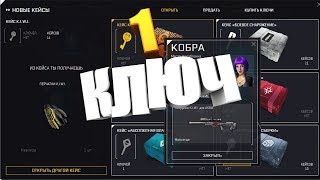 WARFACE KIWI КАК ВЫБИТЬ С 1 КЛЮЧА ПЕРЧАТКИ KIWI ВЫБИЛ КАМУФЛЯЖ НА AX308 KIWI
