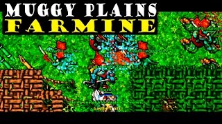 TIBIA 11 ● MUGGY PLAINS ● (ED) GASTHY - #135