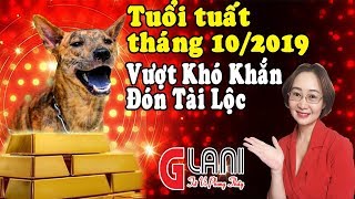 Tuổi Tuất Tháng 10 (Âm) Sẽ Đạt Được Tài Lộc Tốt Nếu Nỗ Lực Làm Điều Này. GLANI Tử Vi Phong Thủy