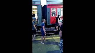 Двое пьяных мужчин устроили драку в поезде Новый Уренгой-Омск.