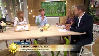 Nytt genmodifierat ris - konsumenter är osäkra på GMO-mat - Nyhetsmorgon (TV4)