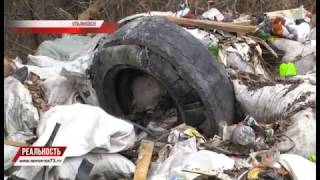 НЕИСТРЕБИМОЕ СВИНСТВО. ПОМОЙКИ В ГОД ЭКОЛОГИИ