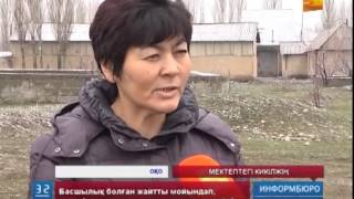 Оқушы қызға қол көтеріп, балағаттаған мұғалім жұмыстан босатылды