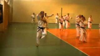 Kakuyoku SanDan IJKA Asai Karate Shihan Dormenko 7 Dan