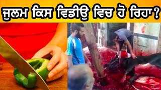 Can Sikh Eat Meat - ਕਬੀਰ ਜੋਰੀ ਕੀਏ ਜੁਲਮੁ ਹੈ