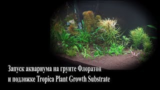 Запуск аквариума на грунте Флоратон и подложке Tropica Plant Growth Substrate