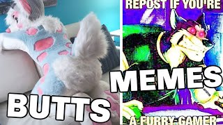 this video has fursuit butts & furry memes