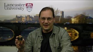 What is the BBC micro:bit?