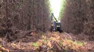 BRUKS 805.2 / EcoLog 594C mobile chipper in 1:st thinning Radiata pine, Australia oct. 2010