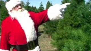 Here Comes Santa Claus: Holiday Tips from the North Pole : How to Choose the Perfect Christmas Tree